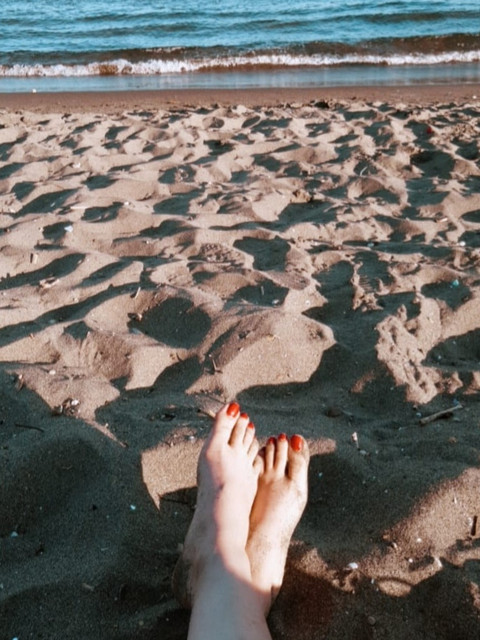 Anna Lu profile picture