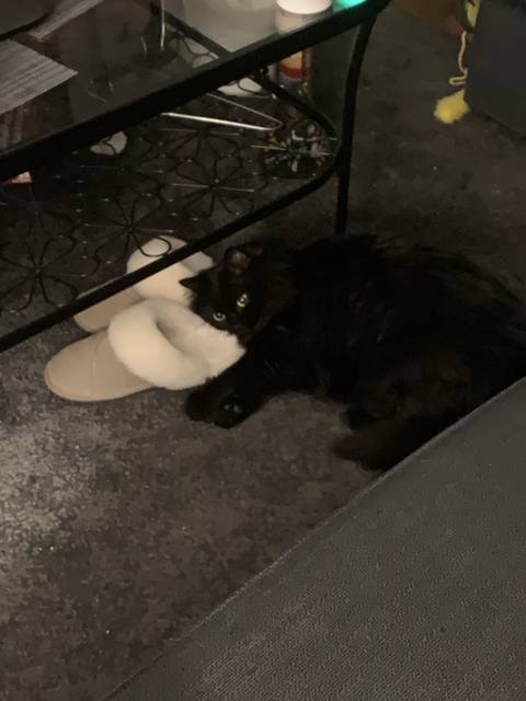 @momokear nude momokear nude