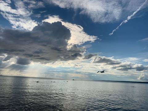 @u95564424 nude u95564424 nude