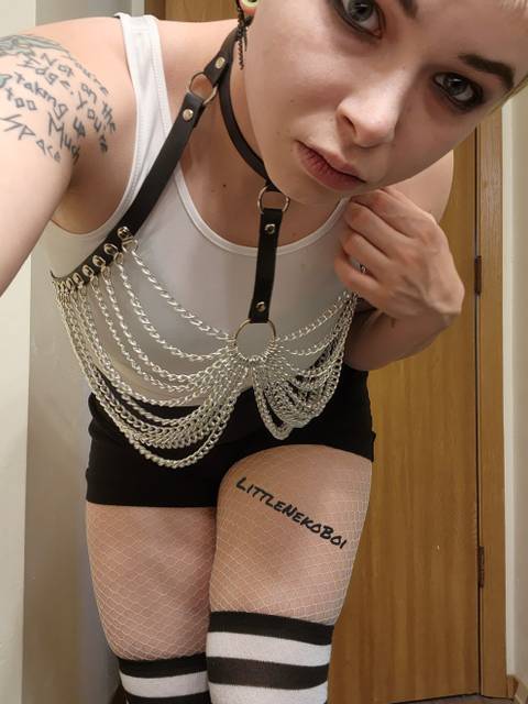 @littlenekoboi @littlenekoboi