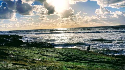 @scoxy nude scoxy nude