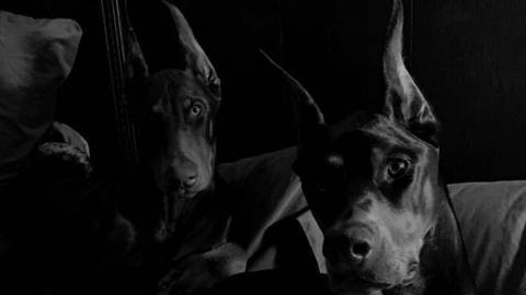 @anxenamuna nude anxenamuna nude