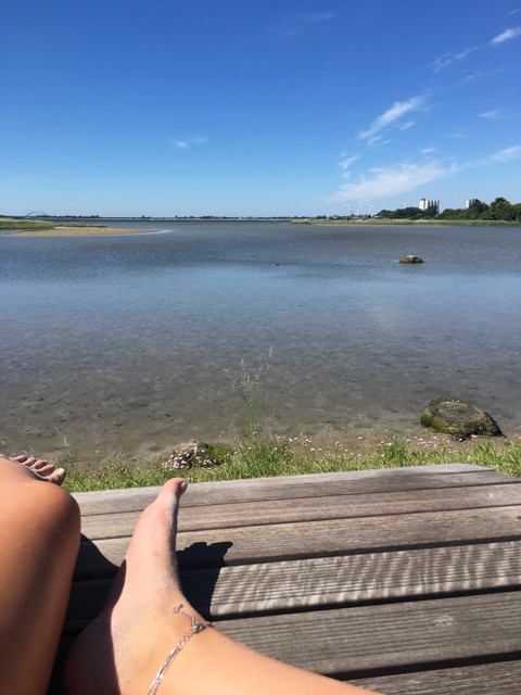 Anita profile picture