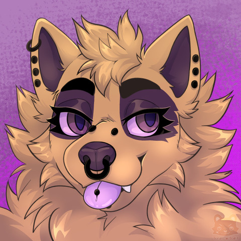 🐕orrin🐕 profile picture