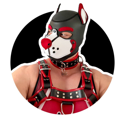 MusclePupRocky profile picture