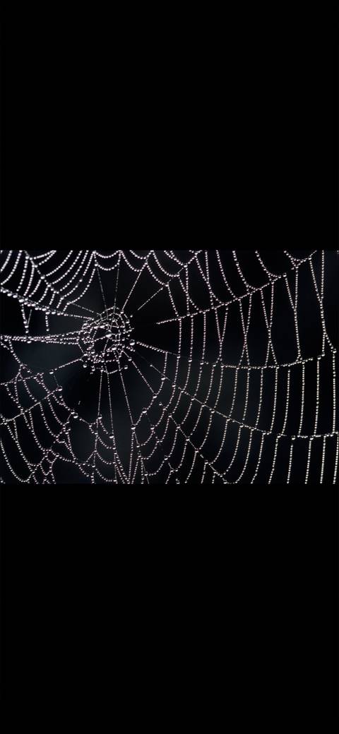 @maryjanesweb nude maryjanesweb nude