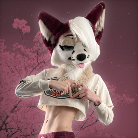 Mikodoru | #1 Foxboy 🥇 profile picture