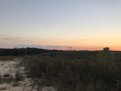 @nousersleft nude nousersleft nude