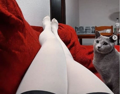 Fantasy Feet Heaven profile picture