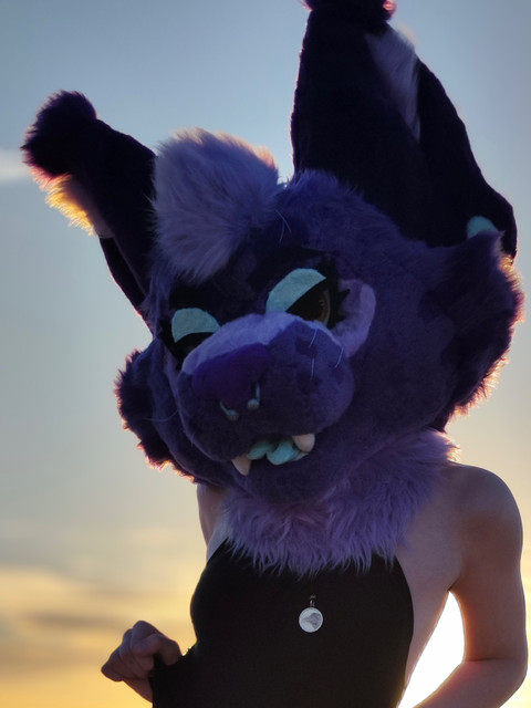 Mars 🐾 profile picture