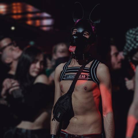 @pupmalink @pupmalink