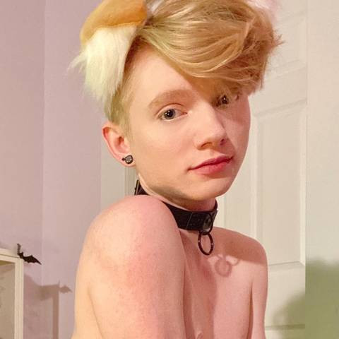 @pawprintprince @pawprintprince