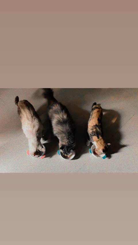 @pimqiiiiii nude pimqiiiiii nude