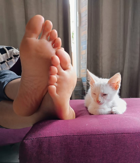 Lily Feet profile picture