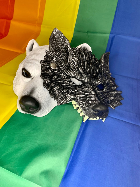The Wolf The Bear profile picture