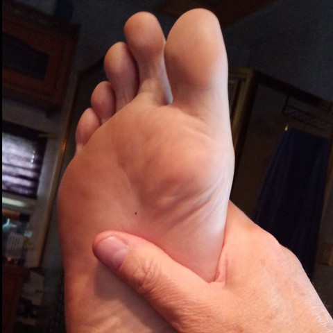 @doggiesocksniffer profile picture