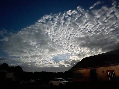 @morganhall19 nude morganhall19 nude