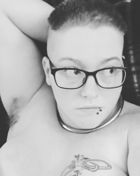 BratASaurus profile picture