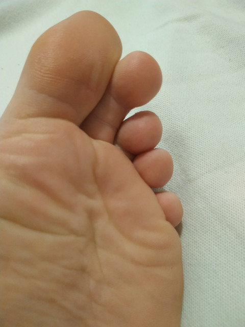 ToesAndTreats profile picture