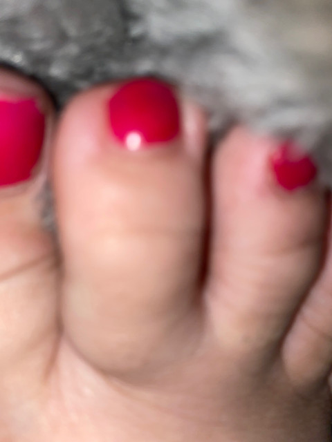 Tinkerbell profile picture