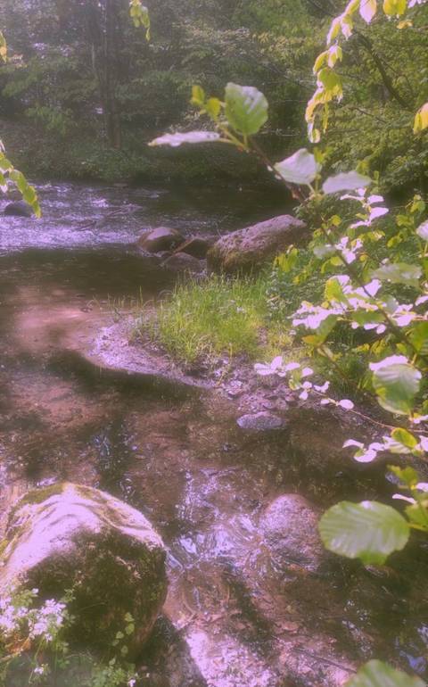 @novaxlove nude novaxlove nude