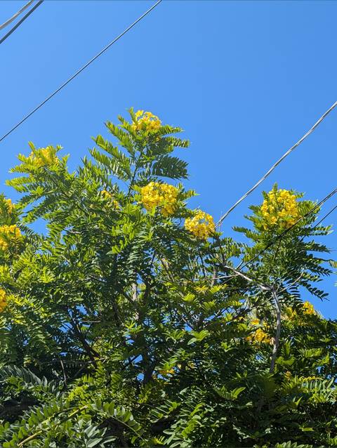 @travelingsassypants nude travelingsassypants nude