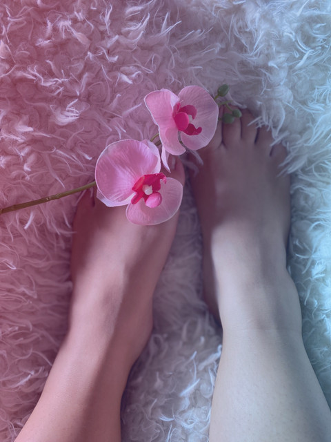 Feetlovers profile picture