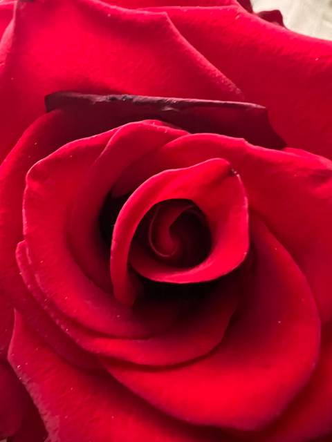 @junjiyuuma nude junjiyuuma nude