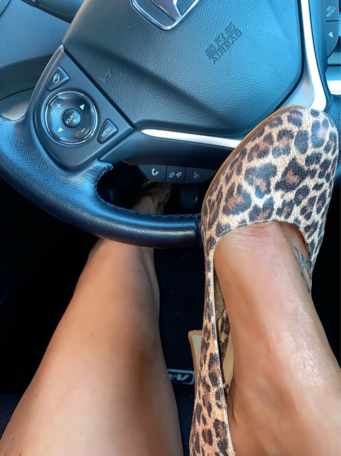 Sophia profile picture