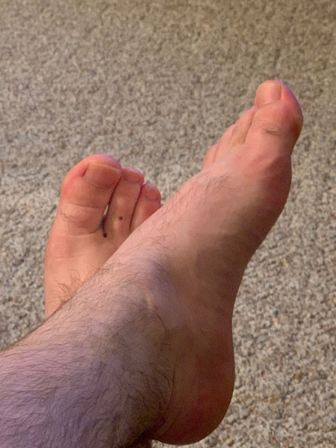 Squatchy Feet profile picture