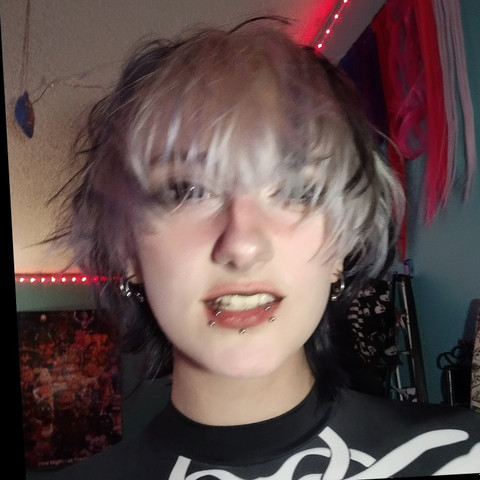 Plastic profile picture