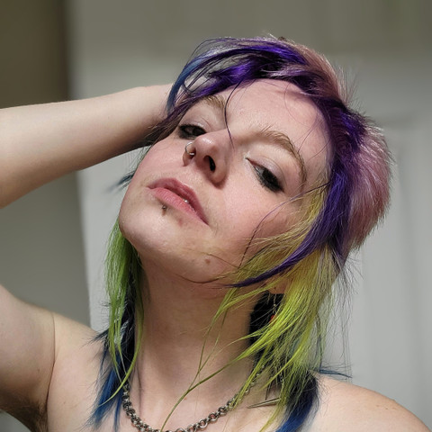 FaeralPhoenyx profile picture