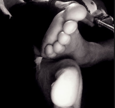 Feeter Cottontail profile picture