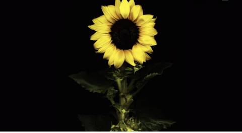 @savagesex94673 nude savagesex94673 nude