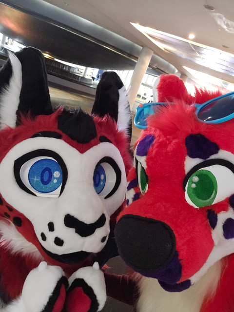 Fig & Onyx profile picture