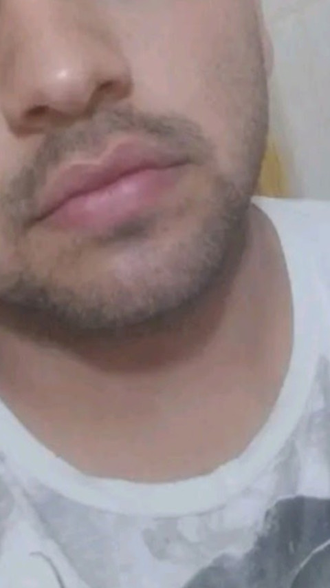 wild bear profile picture