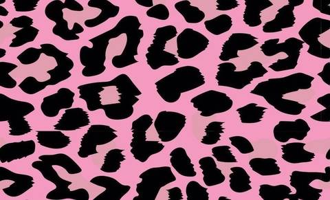 @sexycat_fiona nude sexycat_fiona nude