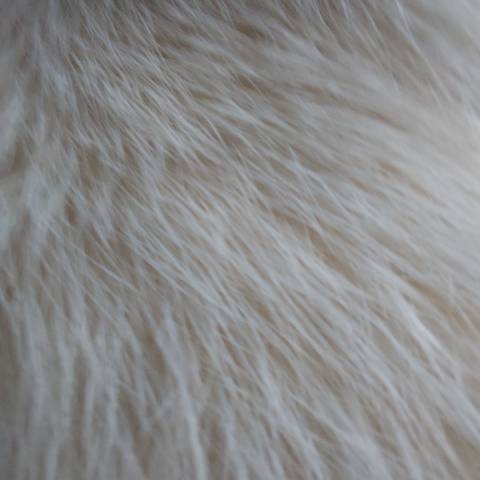 @msyellowheart nude msyellowheart nude