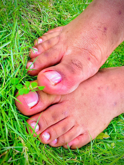 Brown Feet profile picture