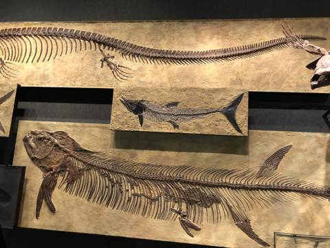 @velvetworm nude velvetworm nude