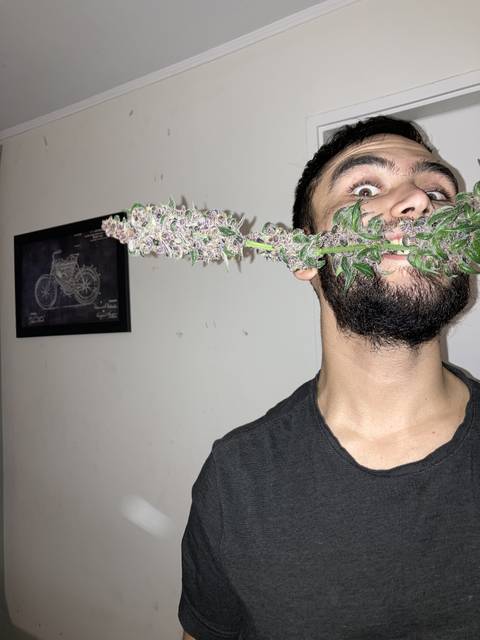 @jhotaretamal nude jhotaretamal nude