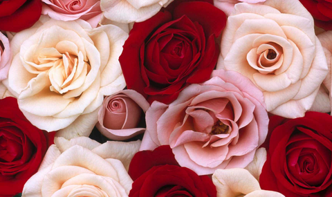 @this_foxy_rose nude this_foxy_rose nude