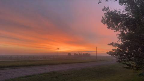 @stephnoella nude stephnoella nude