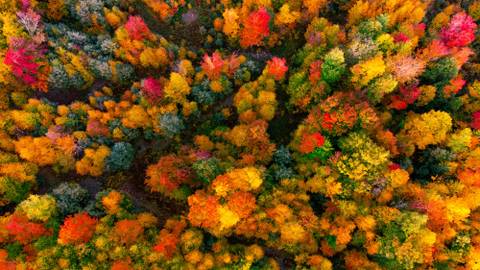 @thecouplenextd00r nude thecouplenextd00r nude