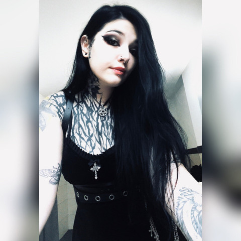 Raven🌙 profile picture
