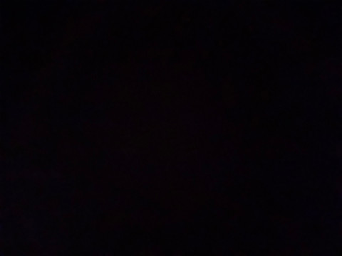 Kittycutie profile picture