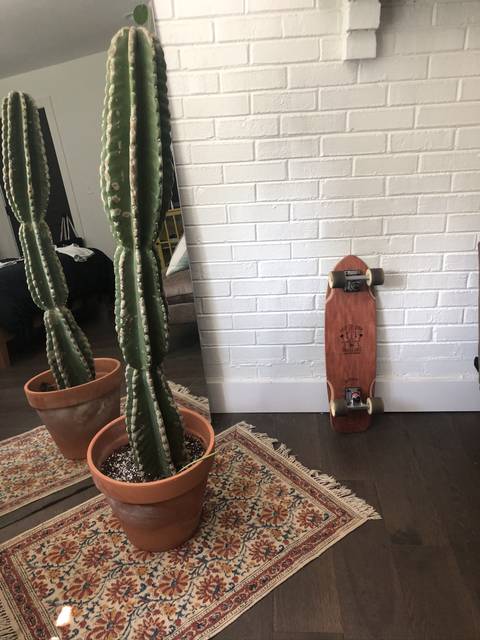 @thatredwood nude thatredwood nude