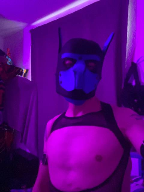 @blackypupmx @blackypupmx