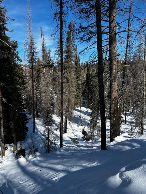 @chacoluvr nude chacoluvr nude