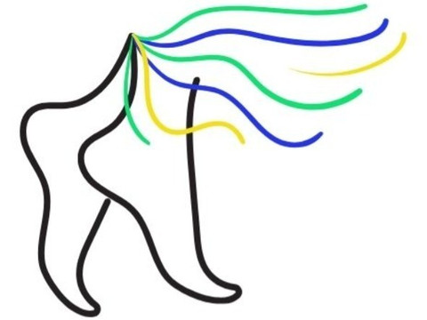 Magic Feet Brazil profile picture